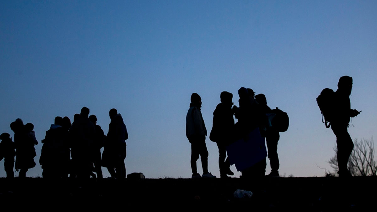 Kırklareli’de kaçak göçmenler yakalandı