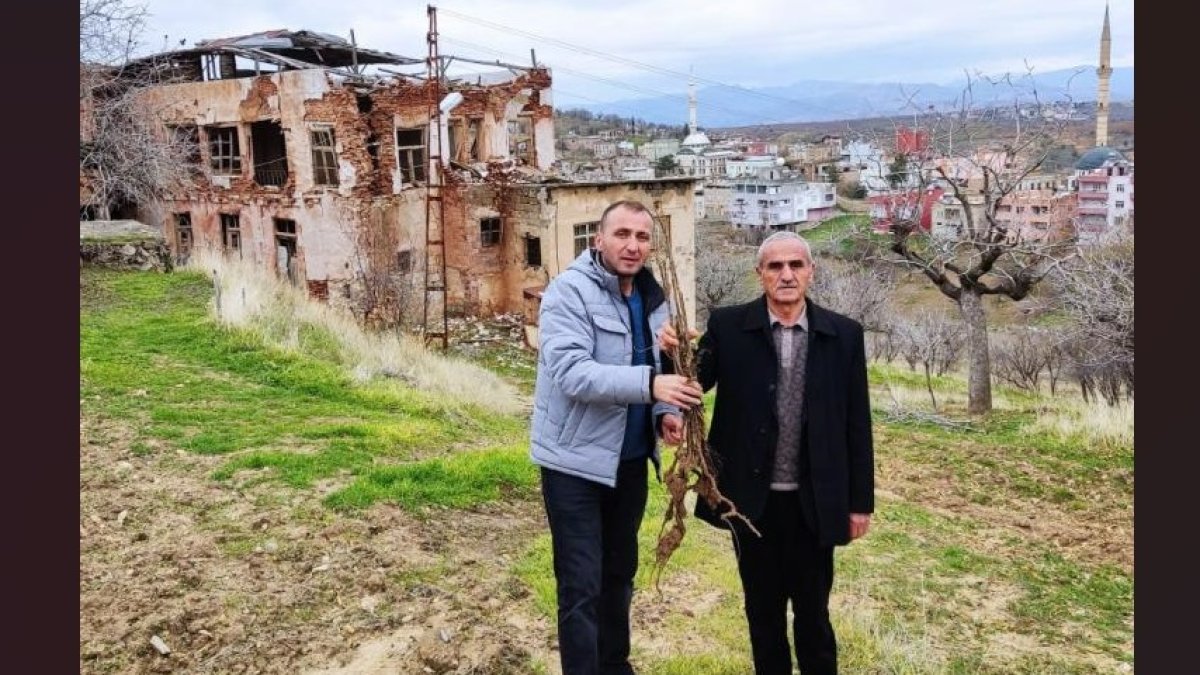 Siirt’te çiftçilere yerli sumak fidanı dağıtıldı