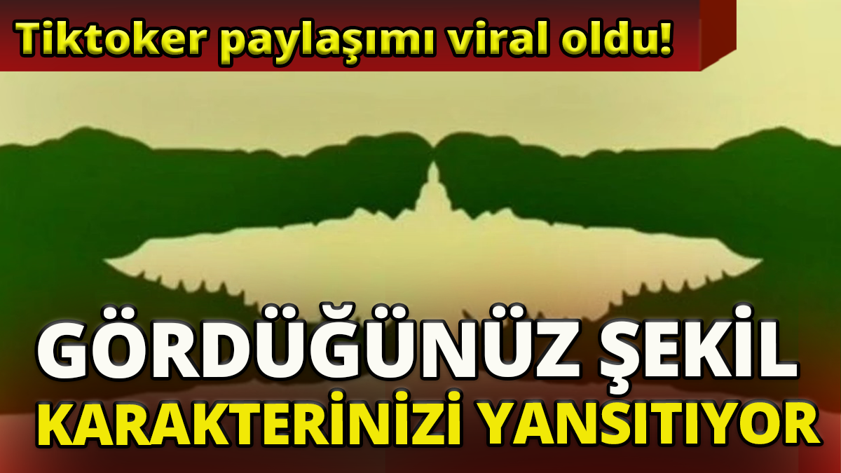 Gördüğünüz şekil karakterinizi yansıtıyor 'Tiktoker paylaşımı viral oldu'