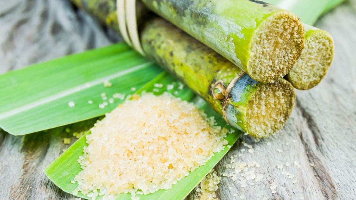 Bağışıklık Sistemini Güçlendiren Yeni Bir Keşif: Şeker Kamışı Peptidi