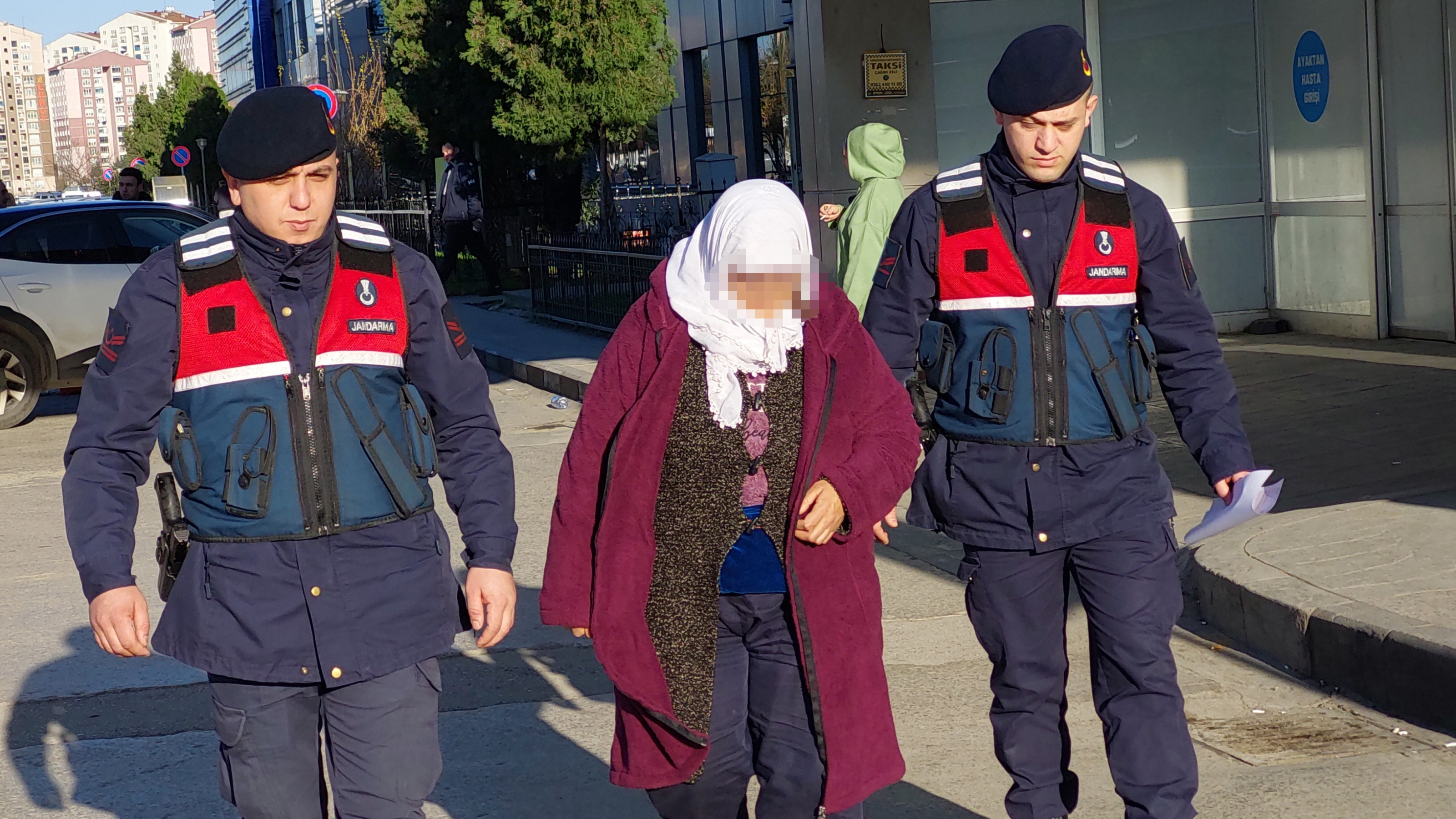 Samsun'da hindi hırsızlığına gözaltı