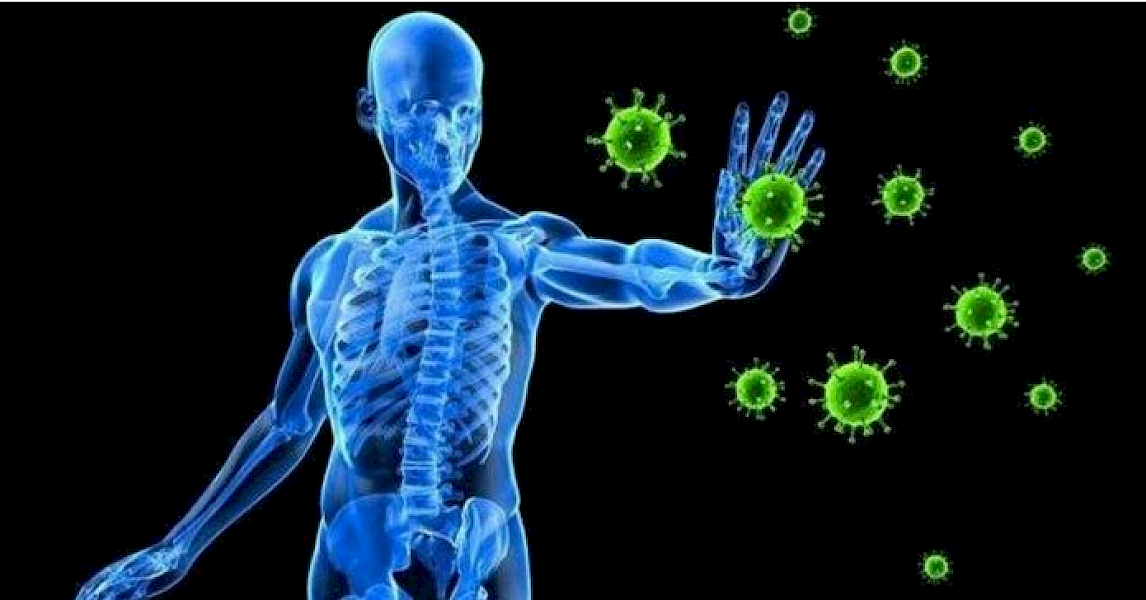 Bağışıklık sistemini güçlendiren yeni keşif