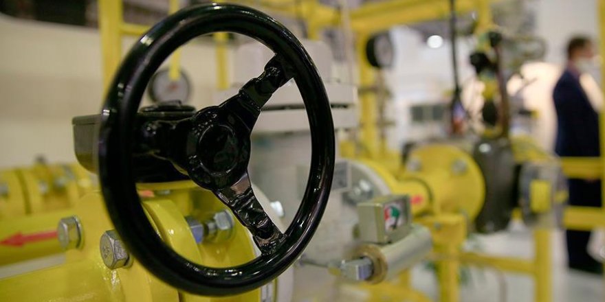 Türkiye bu yıl 52,1 milyar metreküp doğal gaz tüketecek