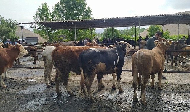 Tokat'ta ikinci bir emre kadar kapatıldı 'Karantina başlatıldı