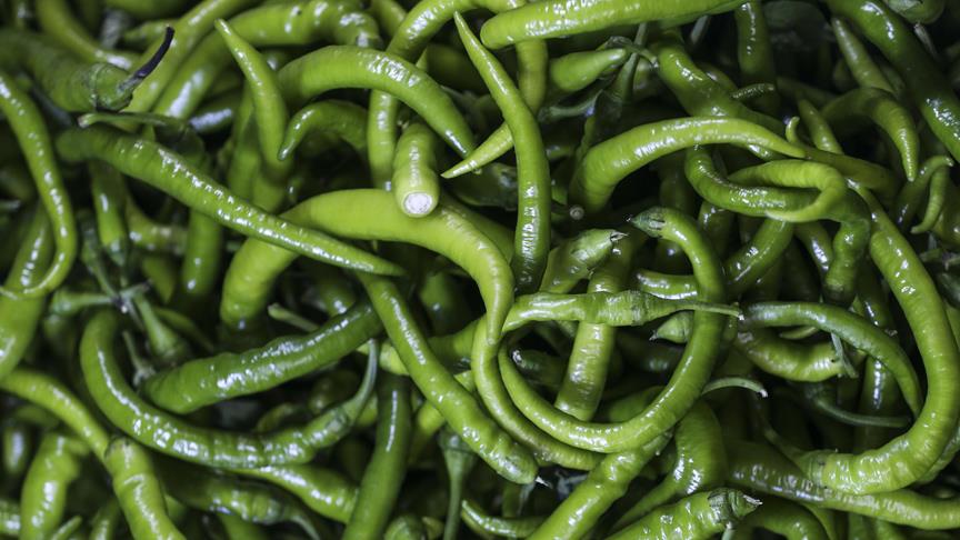 Biber yüzde 73 arttı!