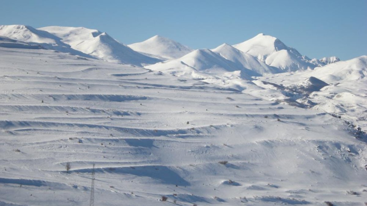 Ardahan'da kar hayatı durma noktasına getirdi