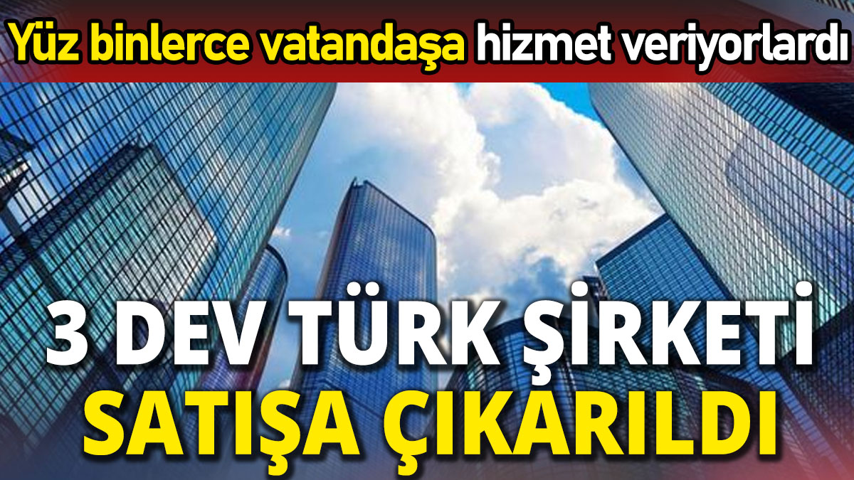 Yüz binlerce vatandaşa hizmet veriyorlardı '3 dev Türk şirketi satışa çıkarıldı'