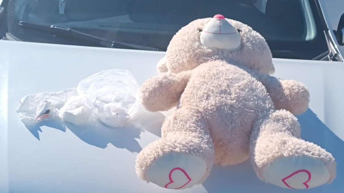 Uşak'ta oyuncak ayıya gizlenmiş kokain bulundu ele geçirildi