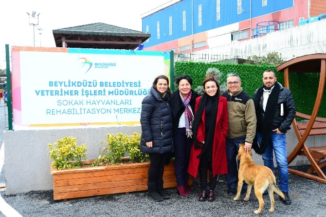 Beylikdüzü’ndeki sistemi incelediler