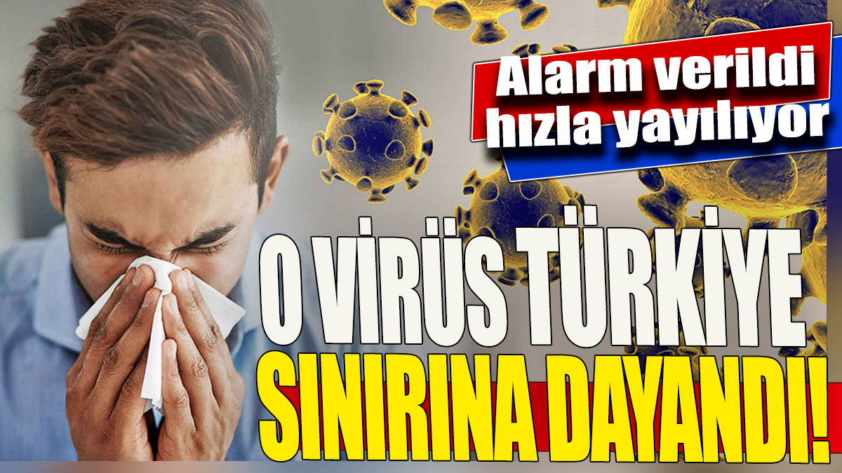 O virüs Türkiye sınırına dayandı 'Alarm verildi hızla yayılıyor'