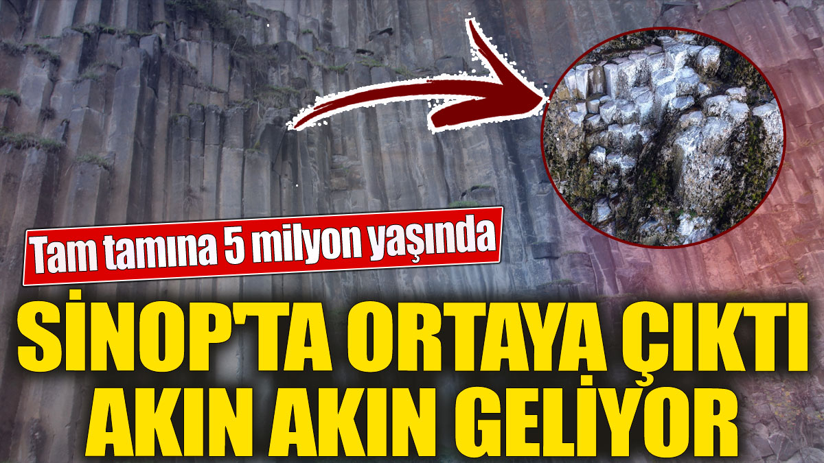 Tam tamına 5 milyon yaşında 'Sinop'ta ortaya çıktı 'Akın akın geliyor
