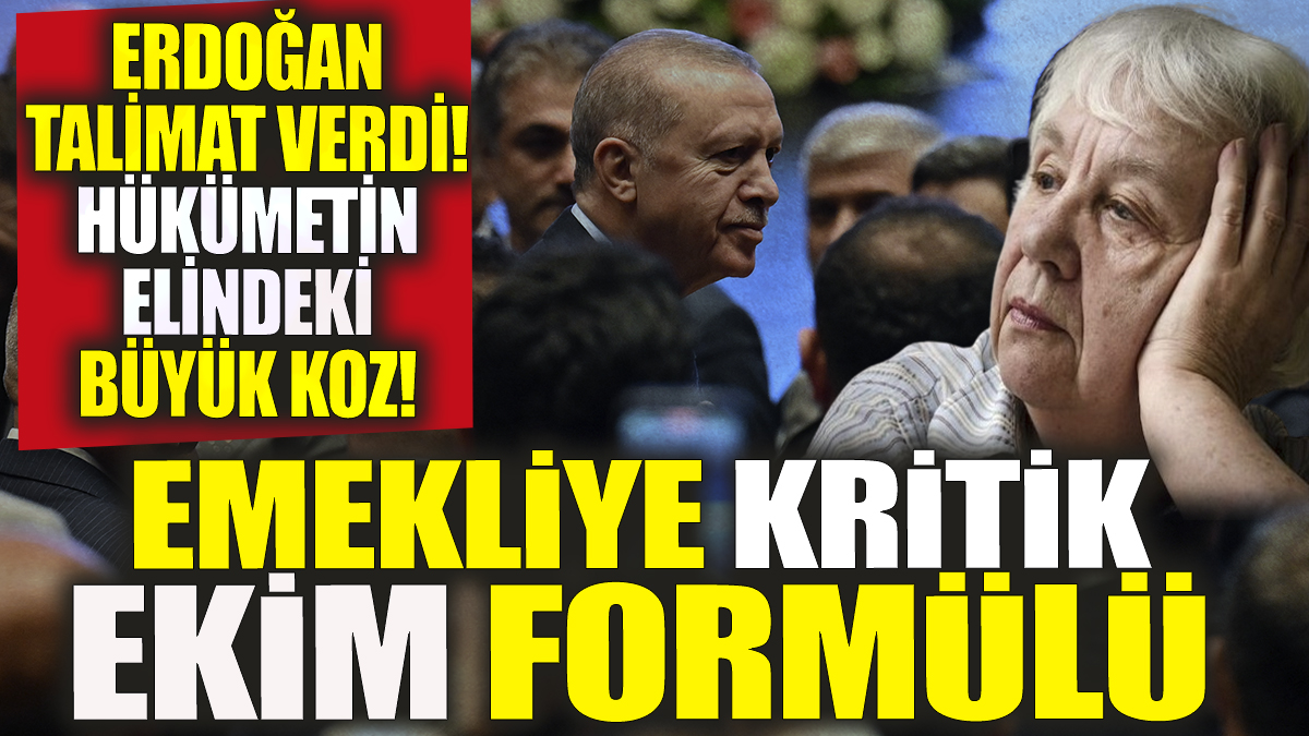 Emekliye kritik ekim formülü 'Erdoğan talimat verdi' Hükümetin elindeki büyük koz