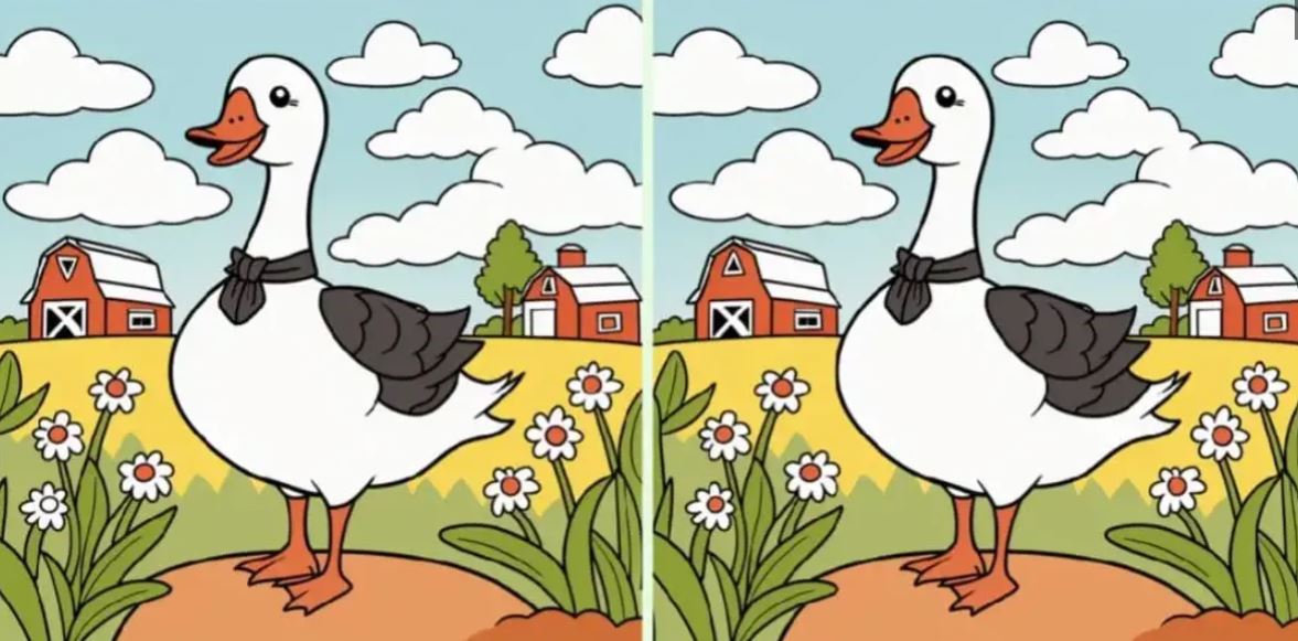 İki ördek arasındaki 3 farkı sadece yüksek IQ'su olanlar 10 saniyede buluyor
