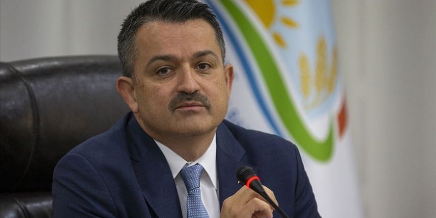 "Patates ekiminin yasaklandığı iddiası doğru değil"