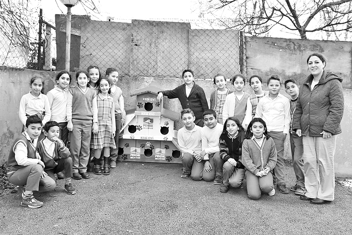 Okula üç katlı  mini kedi evi