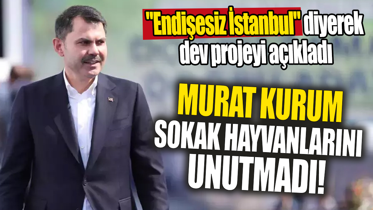 Murat Kurum sokak hayvanlarını unutmadı 'Endişesiz İstanbul' diyerek duyurdu