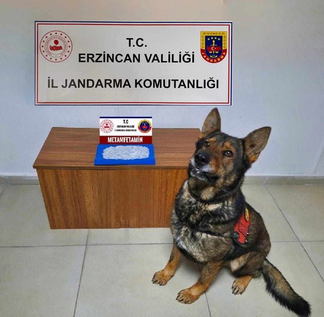 Erzincan’da uyuşturucu operasyonu '1 kişi tutuklandı'