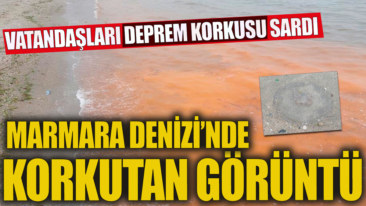Marmara Denizi'nde korkutan görüntü Görenleri deprem korkusu sardı