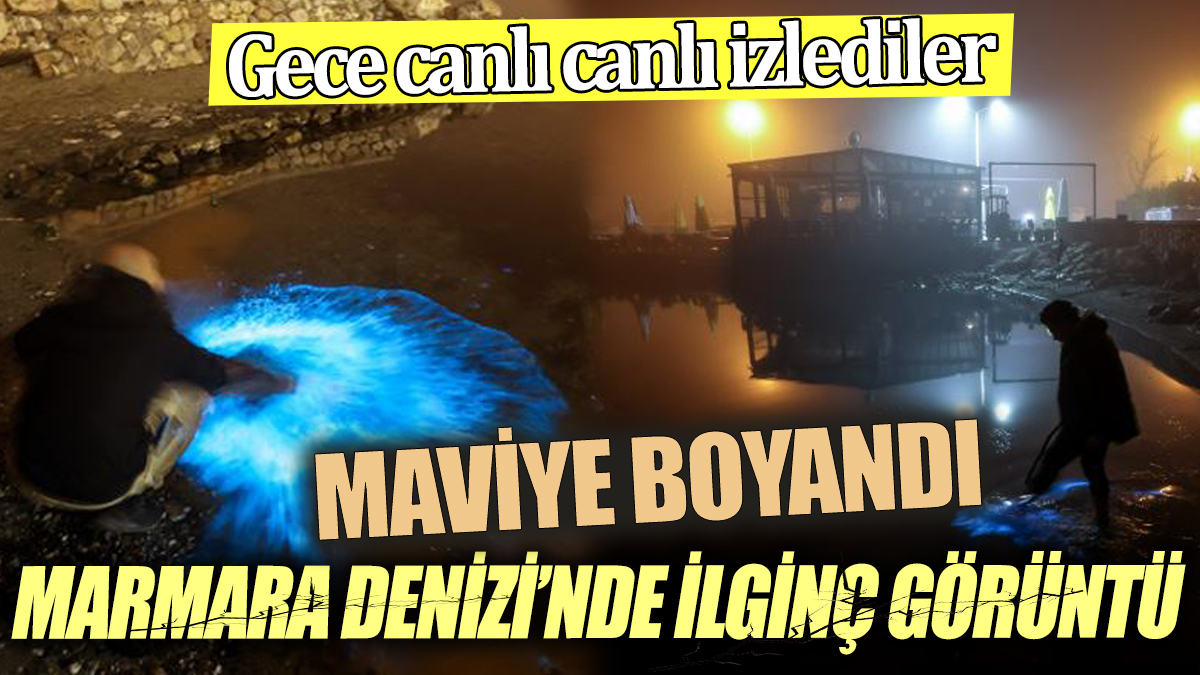 Marmara Denizi’nde ilginç görüntü Maviye boyandı Gece canlı canlı izlediler