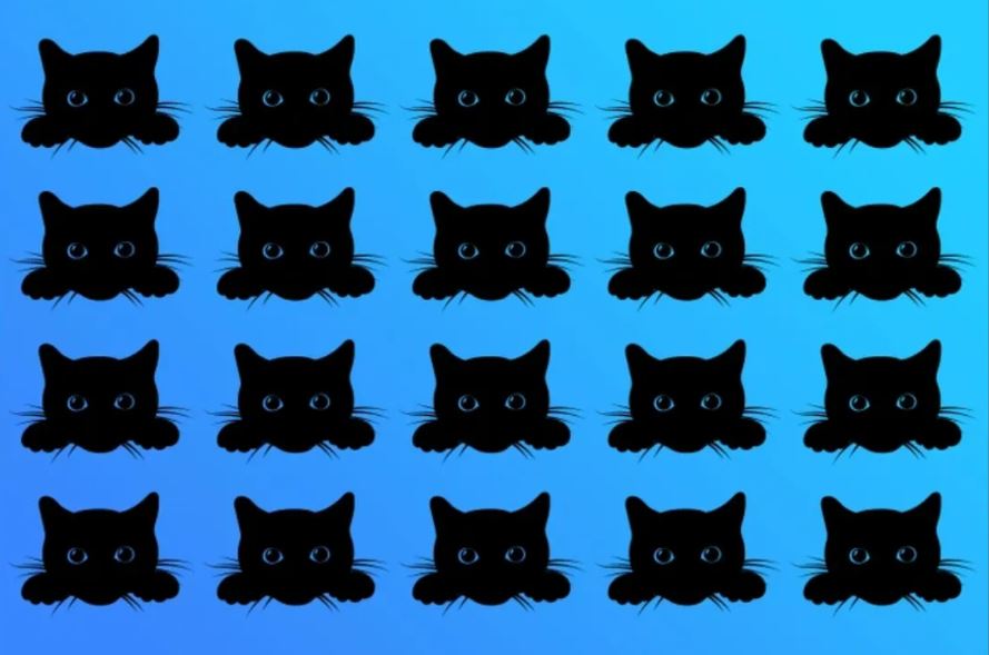 IQ turnusolü testi Resimdeki farklı kediyi 6 saniyede bulmak için en az 110 IQ gerekiyor