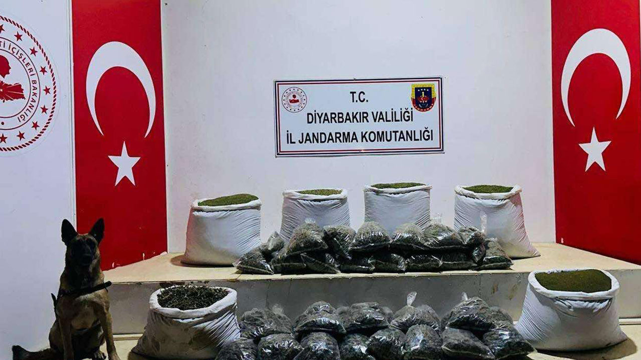 Diyarbakır'da 226 kilogram esrar ele geçirildi