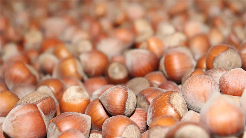 Ulusal Fındık Çalıştayı sonuç bildirgesi