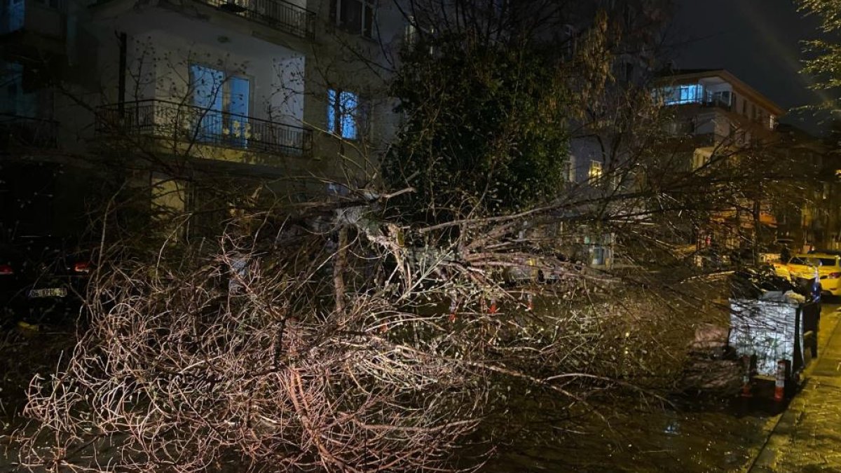 Ankara’da fırtına ağaçları devirdi
