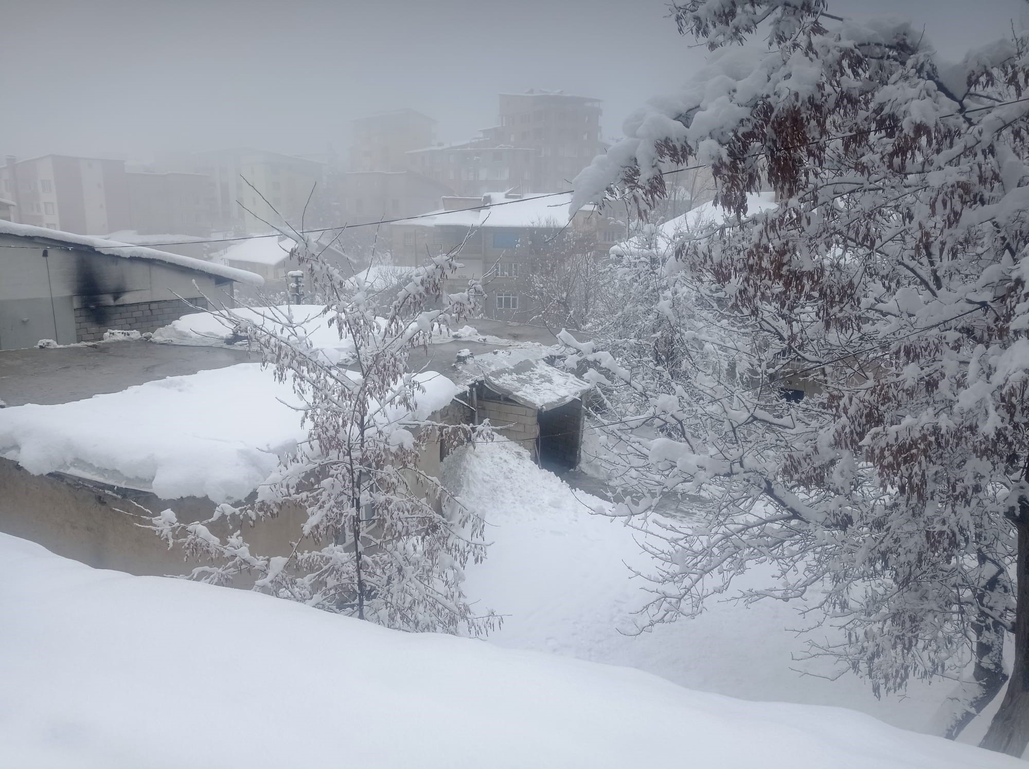 Hakkari'de kar yağışı yerini soğuk havaya bıraktı