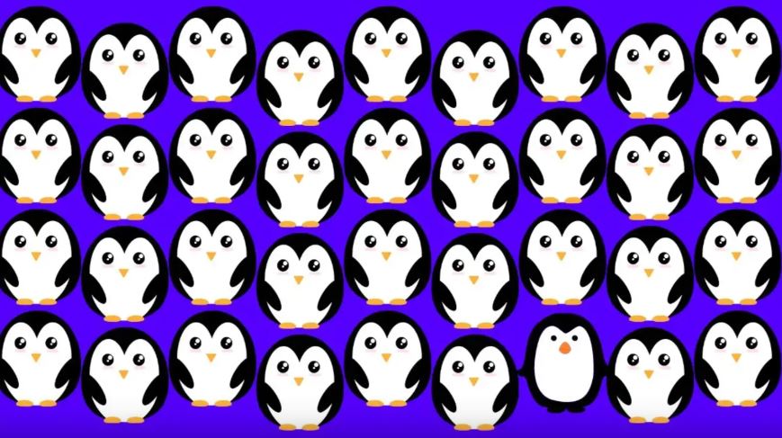 Optik illüzyonlu zeka bulmacası: Resimdeki farklı pengueni sadece 130'dan yüksek IQ'su olanlar 4 saniyede buluyor