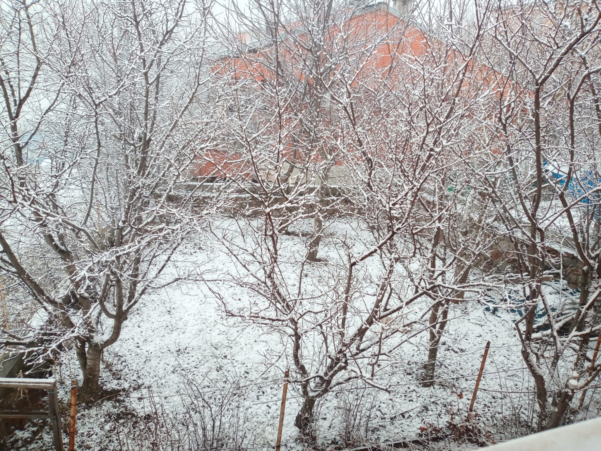 Ardahan Posof’ta kar yağışı