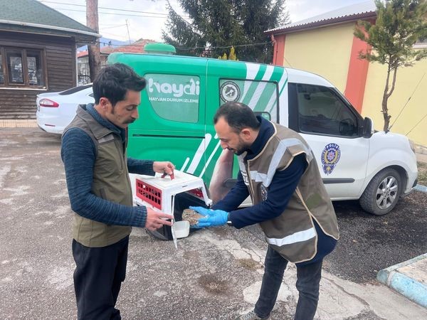 Erzincan’da yaralı baykuş tedavi altına alındı