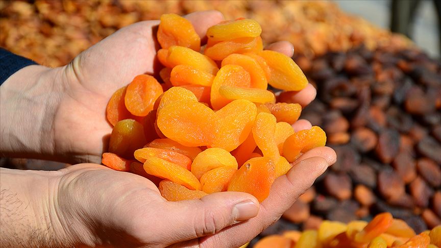 Kuru kayısıda rekor gelir