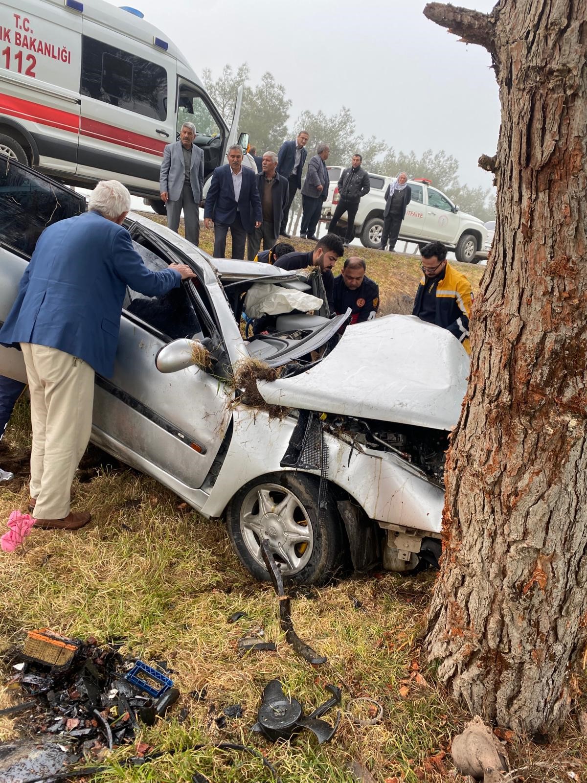 Şanlıurfa'da ağaca çarpan otomobil sürücüsü ağır yaralandı