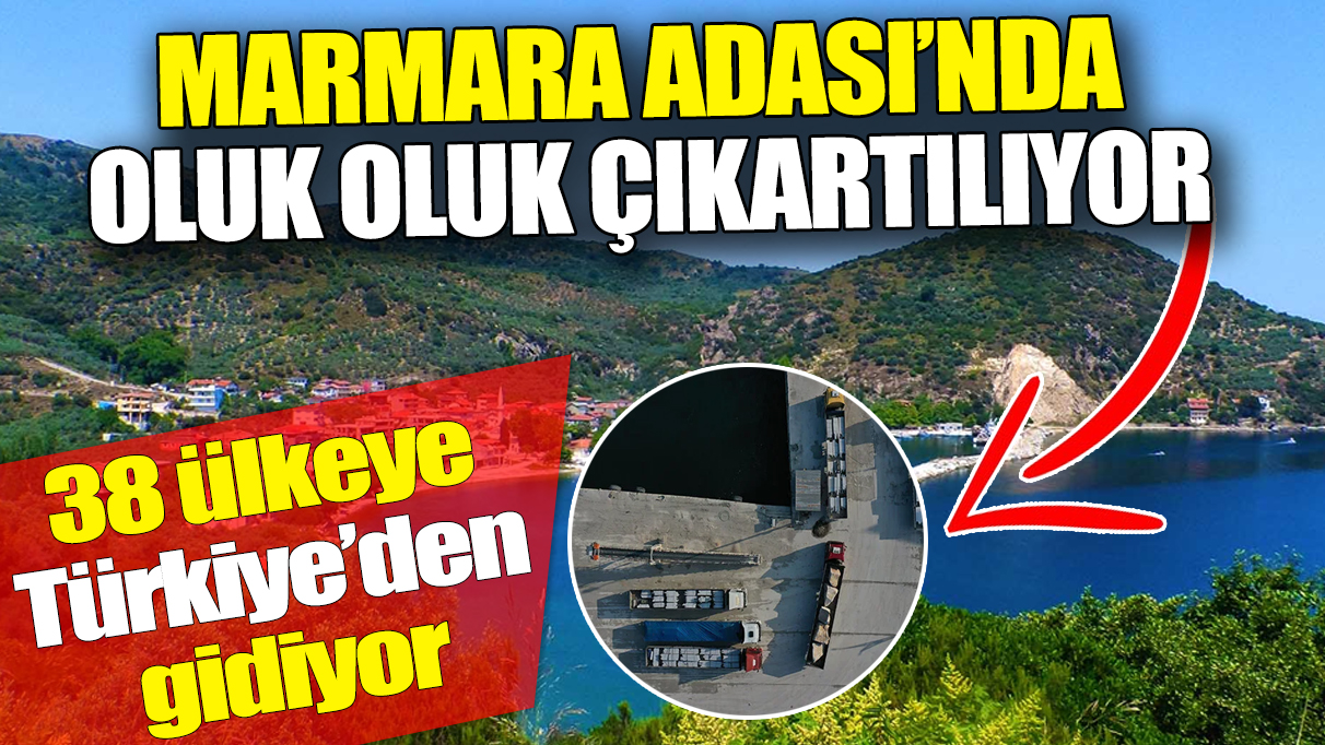 Marmara Adası’nda oluk oluk çıkartılıyor ’38 ülkeye Türkiye’den gidiyor’ Milyonlarca dolar kazandırıyor