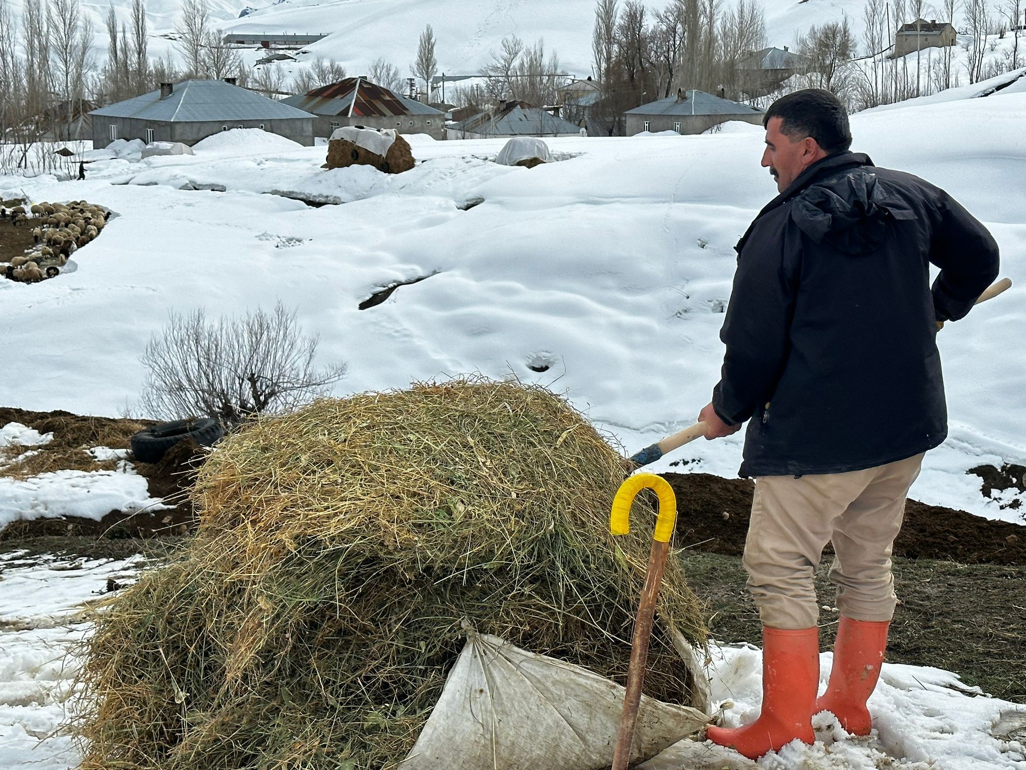 Hakkari Yüksekova’da kış çiftçileri zorluyor