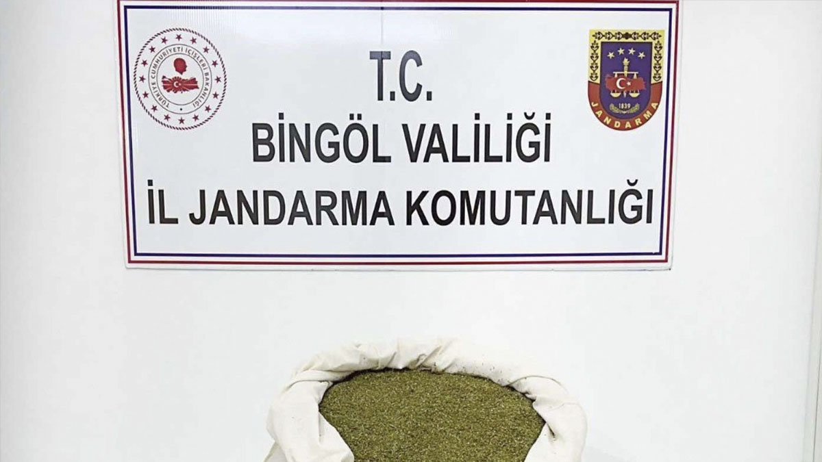 Bingöl'de kilolarca toz esrar ele geçirildi