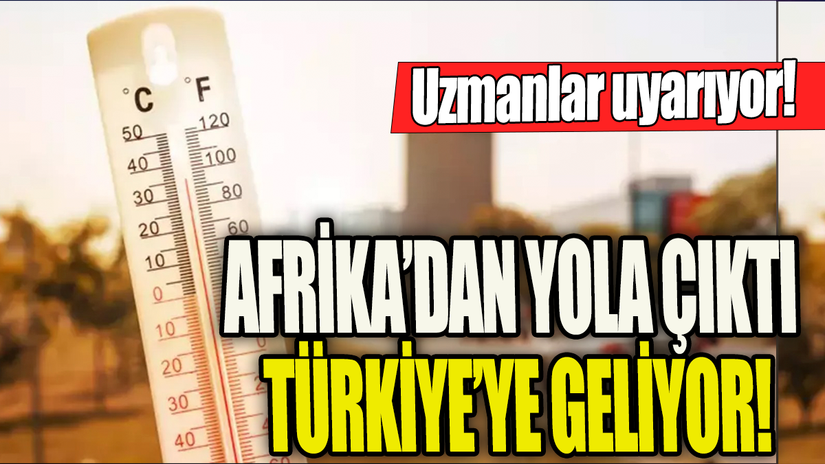 Afrika'dan yola çıktı Türkiye'ye geliyor ' Uzmanlar uyarıyor'
