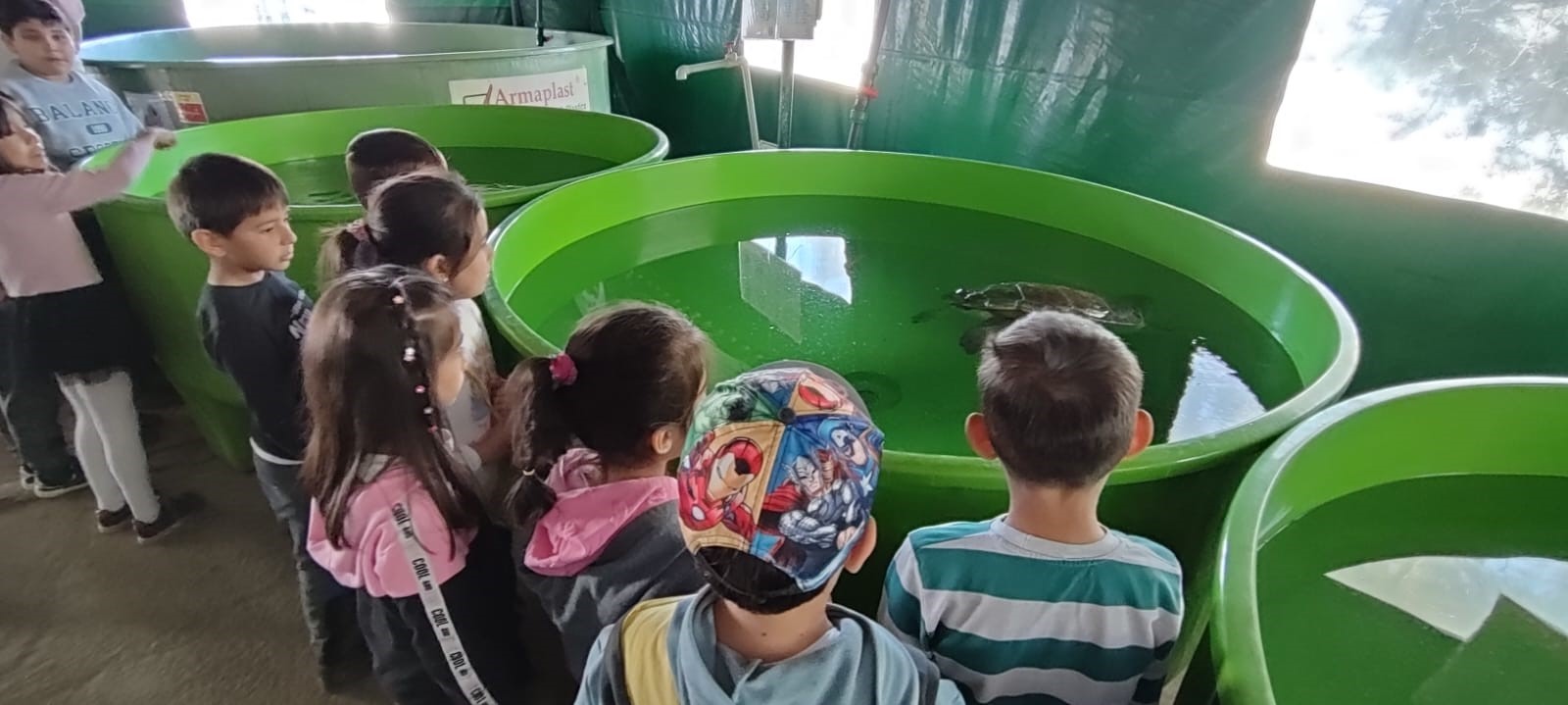 Muğla'da kaplumbağaları korumak için kıyı temizliği yapıldı