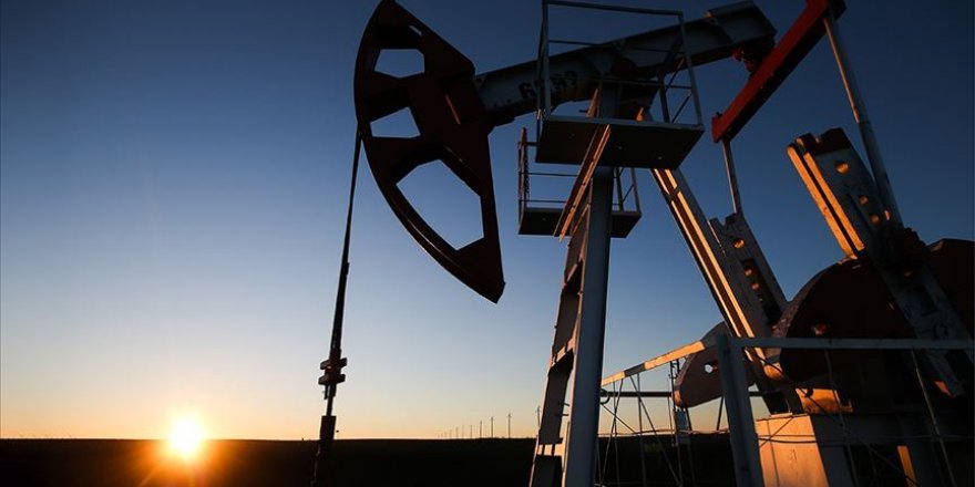 Japonya'nın İran'dan petrol ithalatı nisanda yüzde 51 düştü