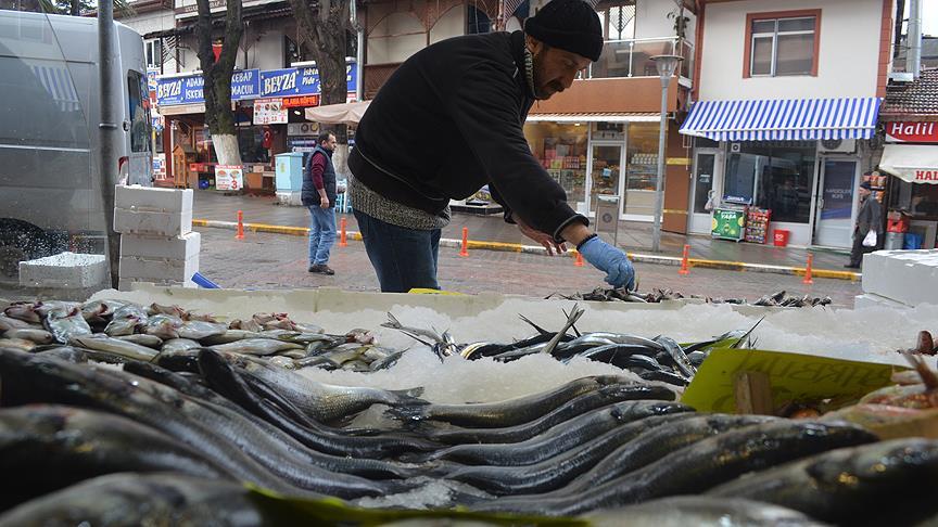 Hamsi yüzde yüz zamlandı
