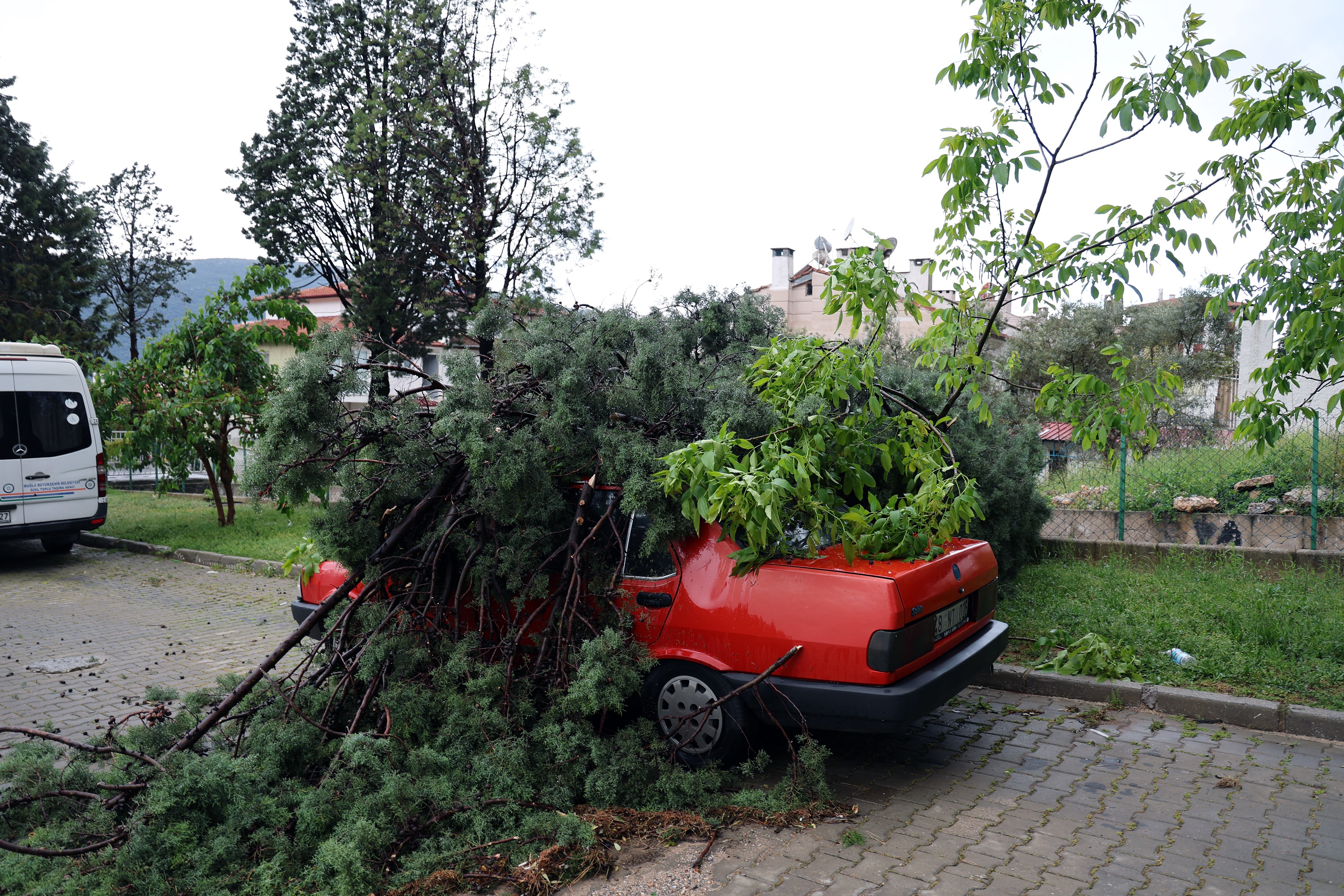 Şiddetli fırtına nedeniyle ağaç aracın üzerine devrildi