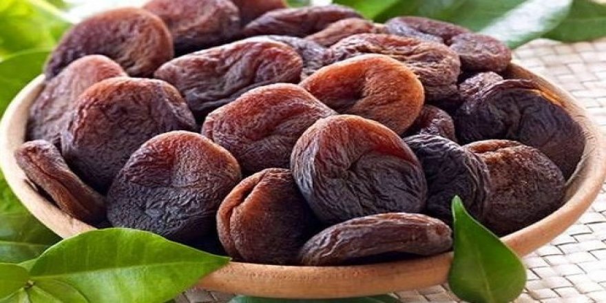 Gün kurusu deney hayvanlarının kırmızı kan hücrelerini artırdı