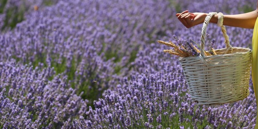 Edirne 'mor turizm'e hazırlanıyor