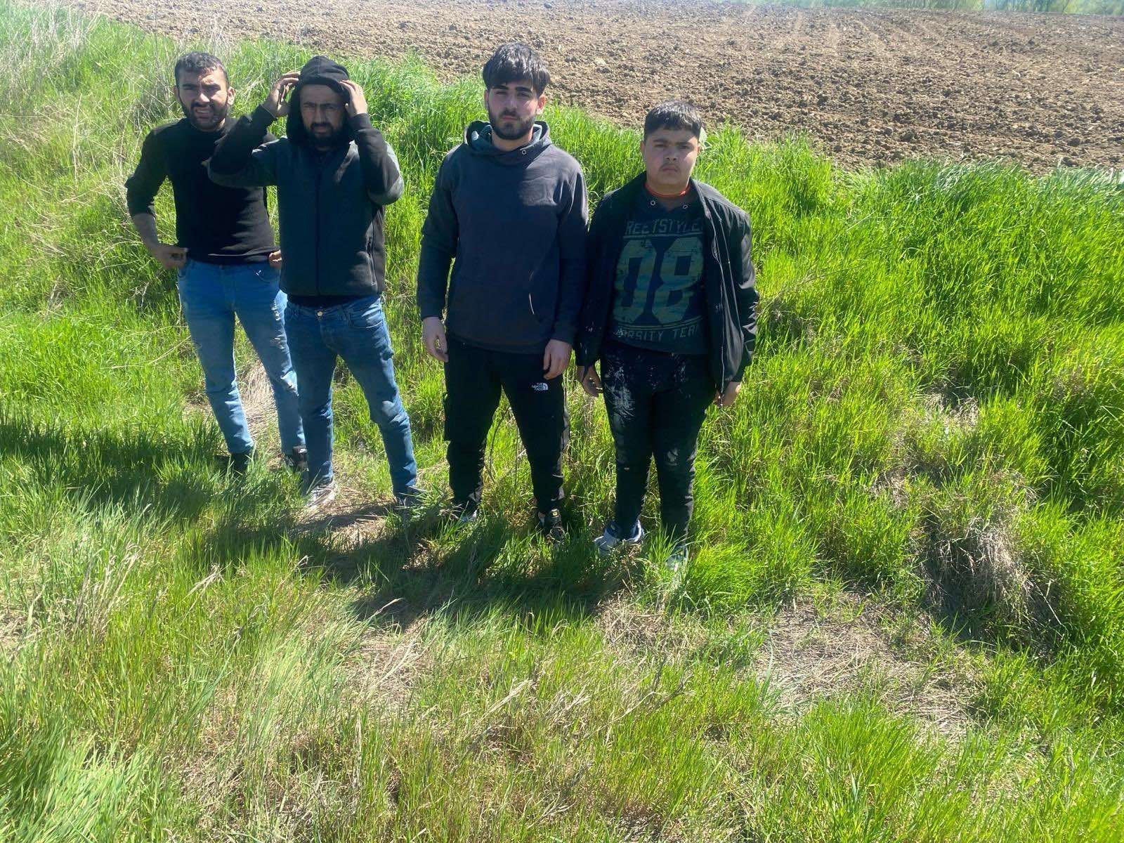 Edirne'de 4 kaçak göçmen yakalandı