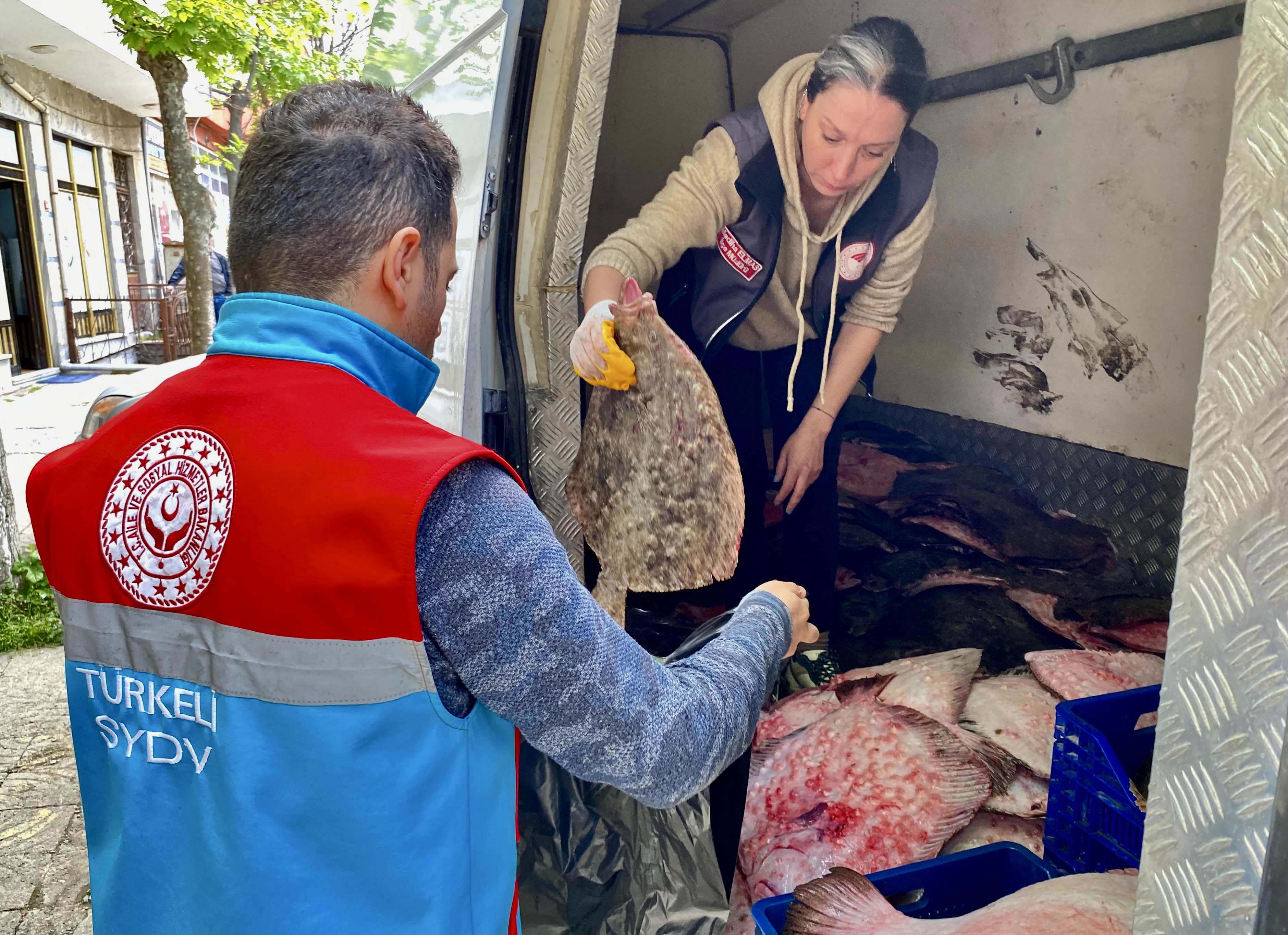 Sinop’ta kaçak yolla avlanan balıklara el konuldu