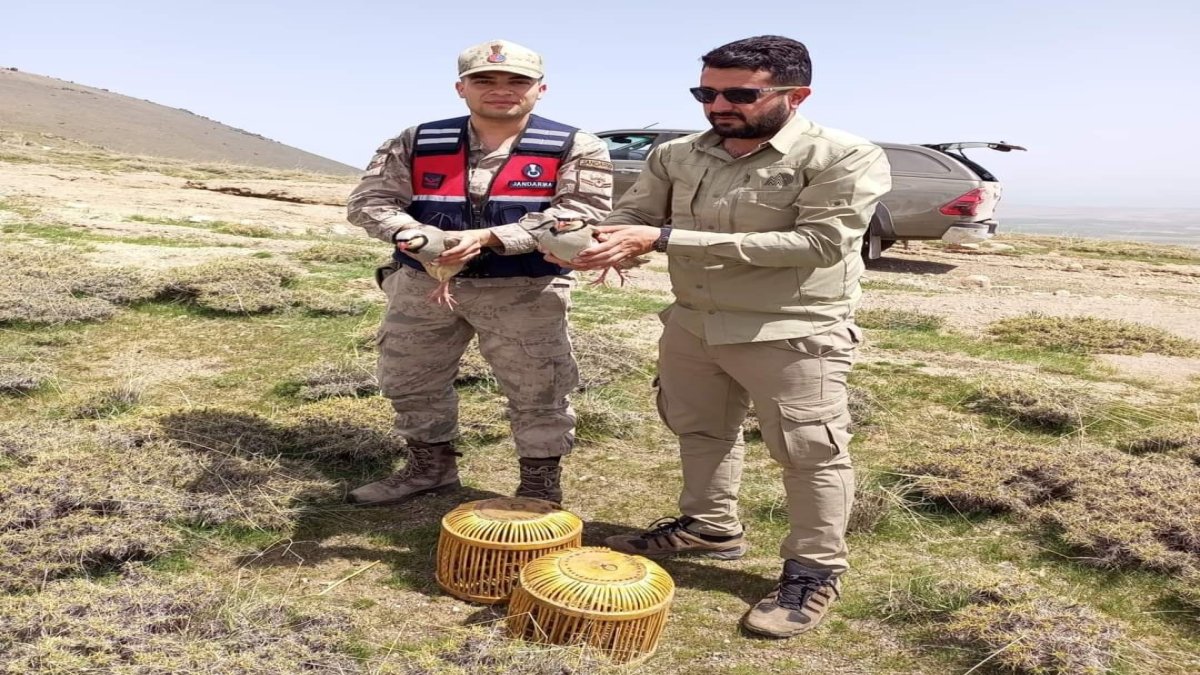 Bitlis'te kaçak avcılar kıskıvrak yakalandı