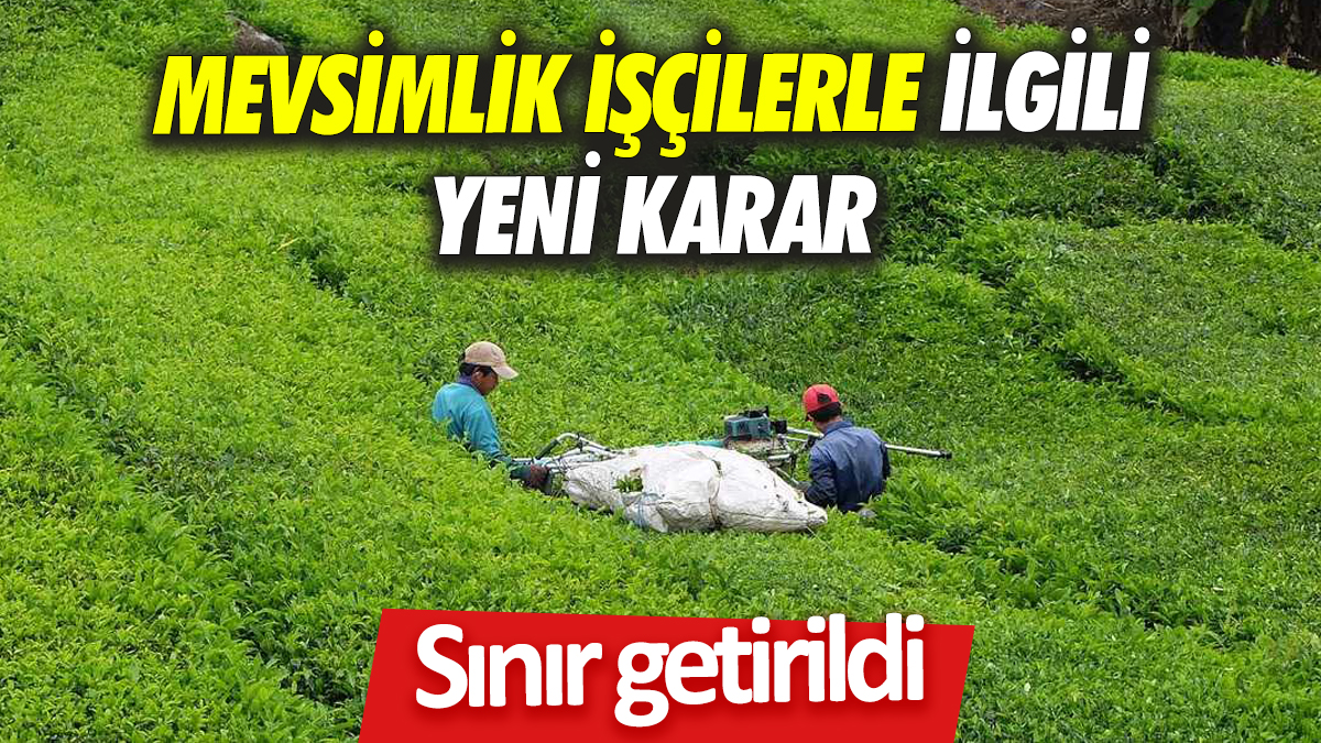 Mevsimlik işçilerle ilgili yeni karar Sınır getirildi