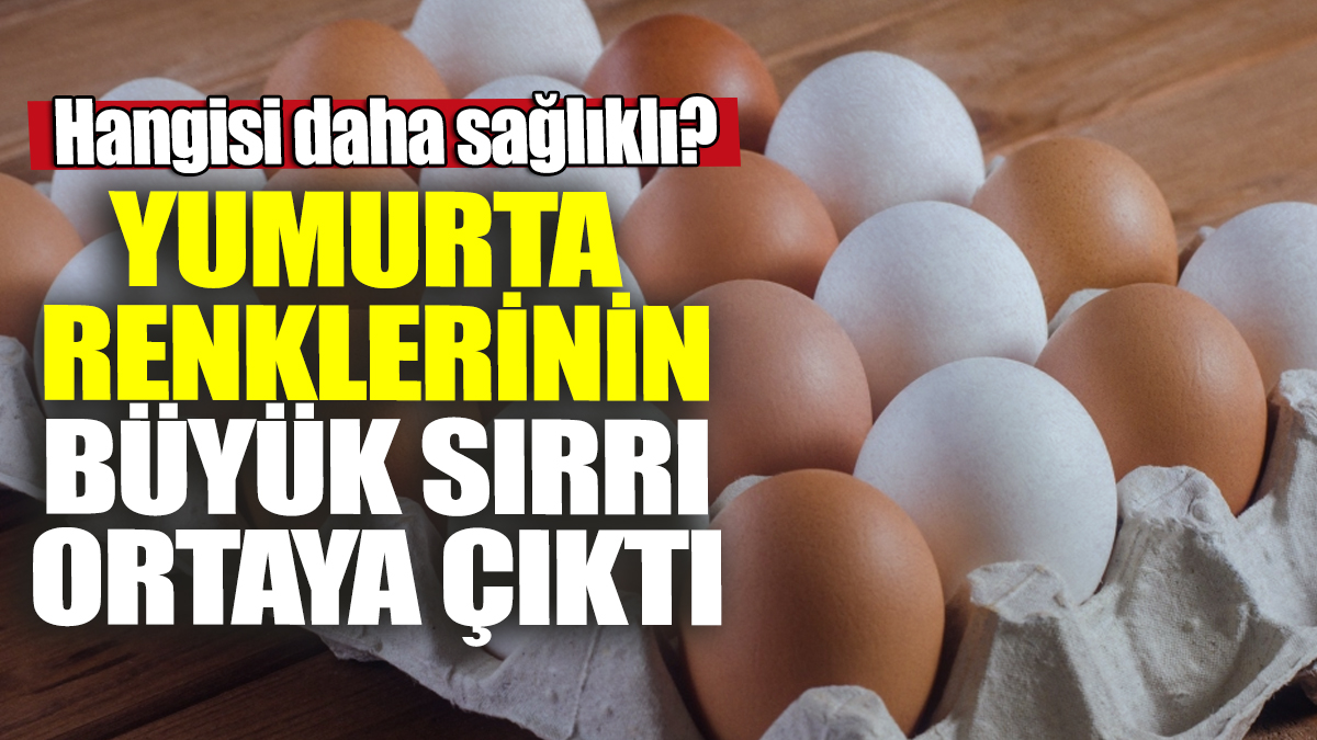 Yumurta renklerinin büyük sırrı ortaya çıktı! Hangisi daha sağlıklı?