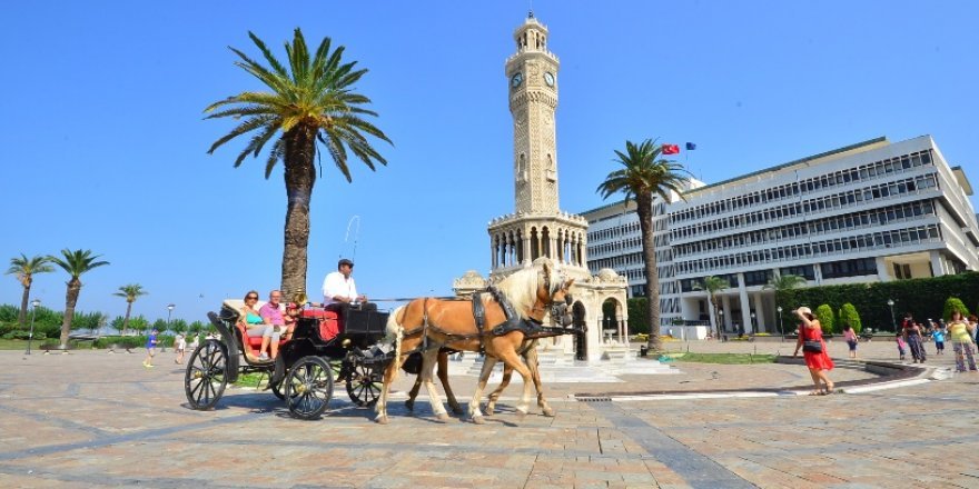 Fayton atları artık özgür!