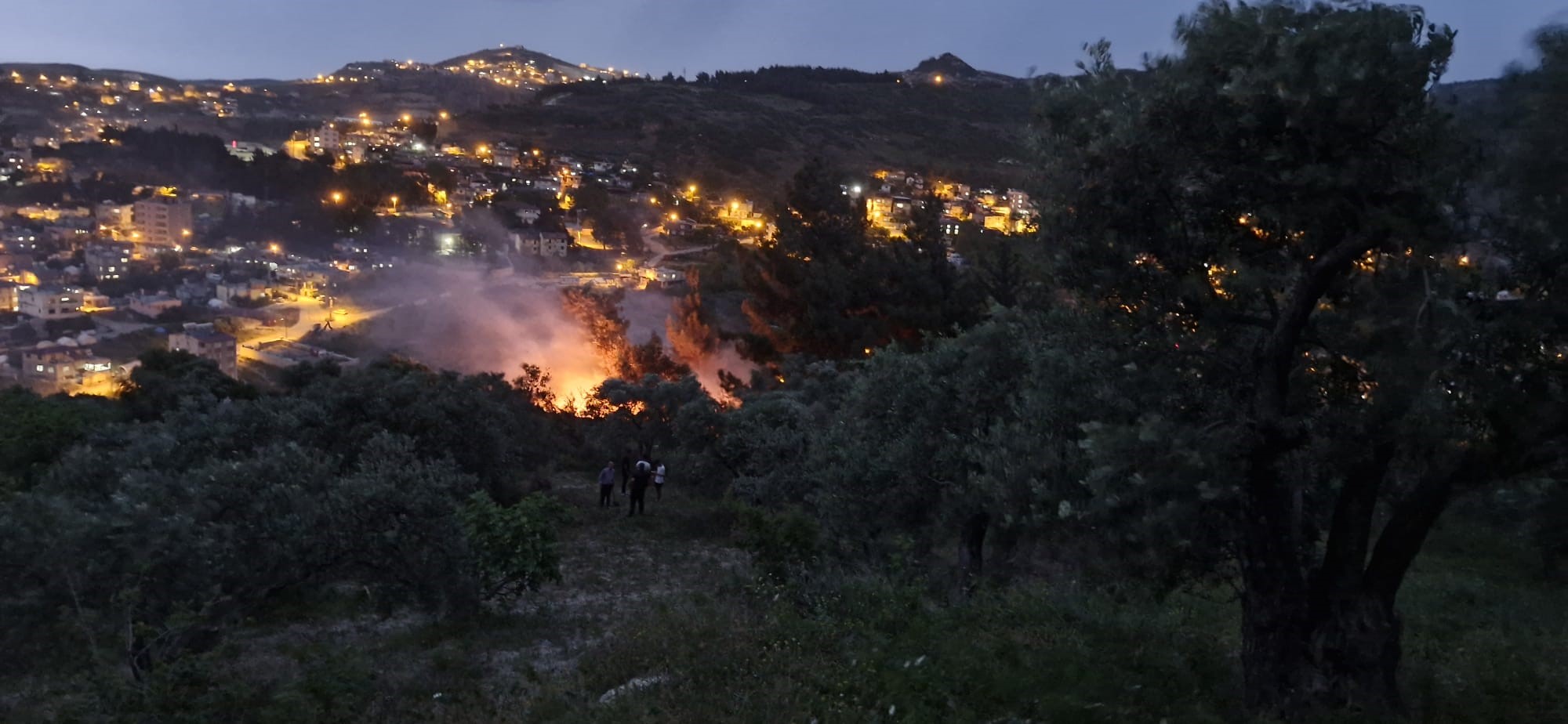 Antakya'da yıldırım düşen ağaçlık alanda yangın çıktı